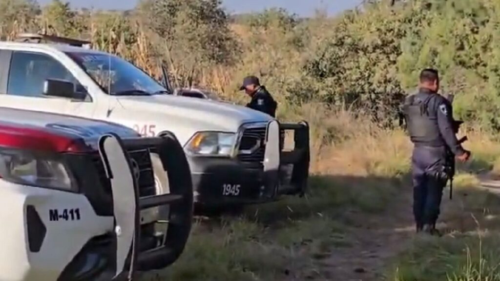Multihomicidio en Puebla: Siete cadáveres hallados con huellas de violencia en frontera con Tlaxcala