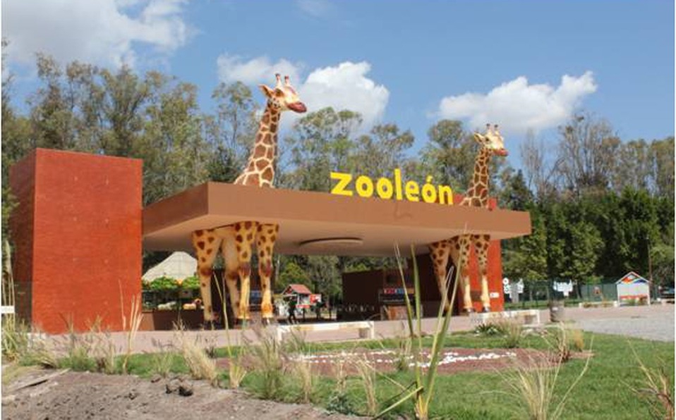 Zoológico de León Refuerza Seguridad con Policía Municipal Tras la Muerte de 24 Borregos