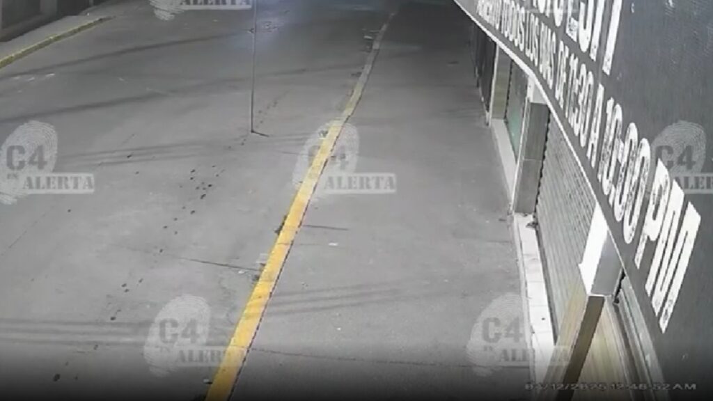 Actualizaciones de C4: Las 5 Noticias Más Importantes de Alerta en Tampa Bay – 5 de Diciembre de 2025