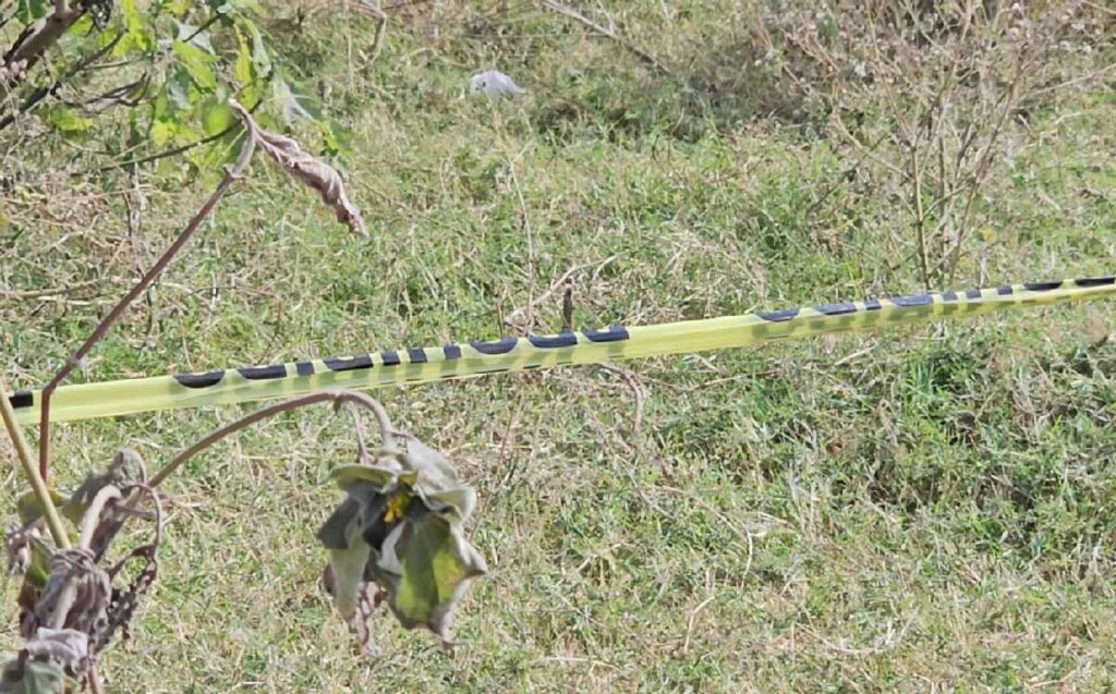 Restos humanos hallados en fosa clandestina de Tlajomulco: un nuevo descubrimiento impactante