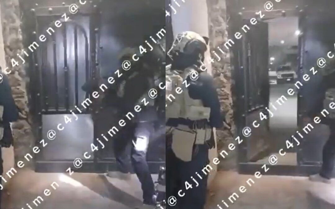 Nacen Perritos Durante Importante Operativo en Xochimilco Contra el Cártel de Sinaloa